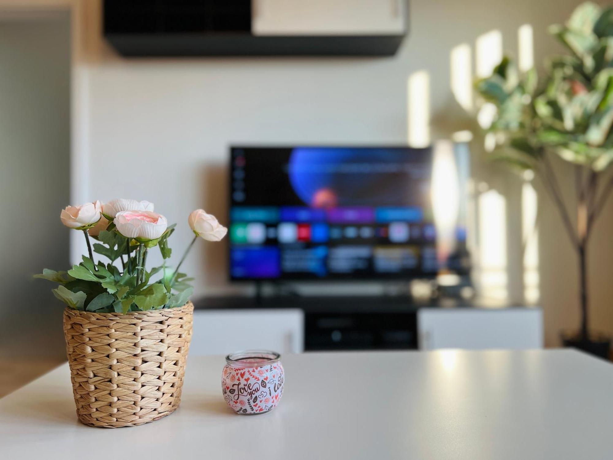Stariva - Terrasse Ueber Dresden - Kaffeemachine - Netflix - Playstation - Brettspiele Apartment Exterior foto